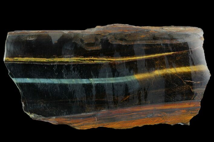 Polished Tiger's Eye Section - South Africa #128483